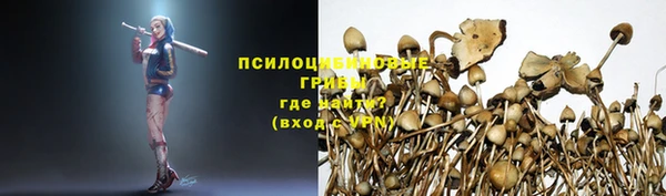 кокаин колумбия Белокуриха